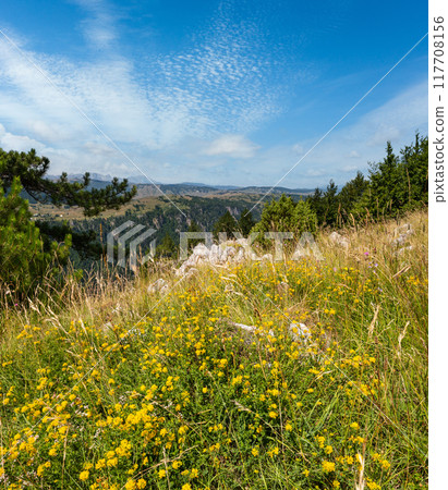 Summer Tara Canyon in mountain Durmitor National Park, Montenegro 117708156