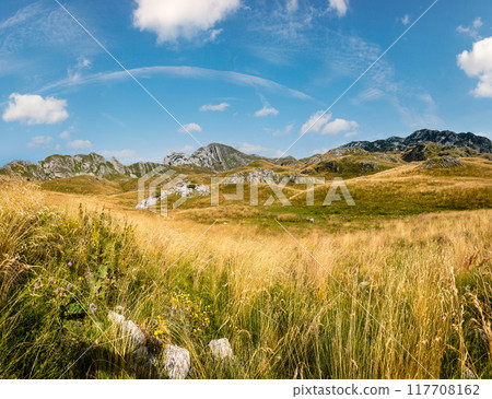 Summer mountain Durmitor National Park, Montenegro. Durmitor panoramic road, Sedlo pass. 117708162