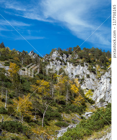 Sunny colorful autumn alpine scene. Peaceful rocky mountain view from hiking path near Almsee lake, Upper Austria. Sunny colorful autumn alpine scene. Peaceful rocky mountain view from hiking path near Almsee lake, Upper Austria. 117708165