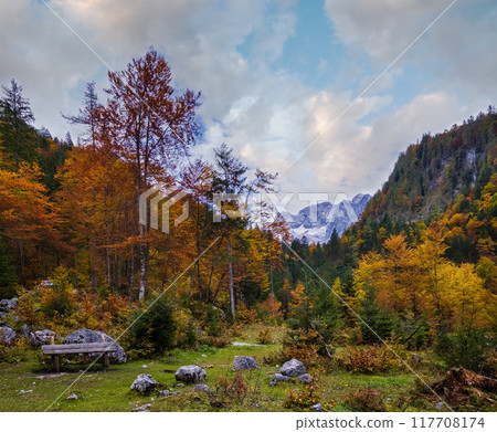 Peaceful autumn Alps mountain forest view. Near Gosauseen or Vorderer Gosausee lake, Upper Austria. Dachstein summit and glacier in far. Peaceful autumn Alps mountain forest view. Near Gosauseen or Vorderer Gosausee lake, Upper Austria. Dachstein summit and glacier in far. 117708174