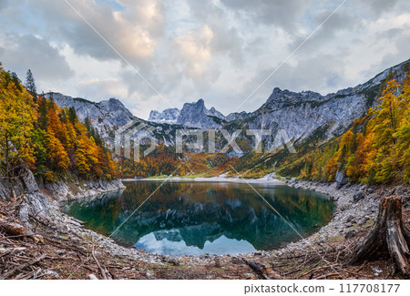 Tree stumps after deforestation near Hinterer Gosausee lake, Upper Austria. Autumn Alps mountain lake with clear transparent water and reflections. Dachstein summit and glacier in far. Tree stumps after deforestation near Hinterer Gosausee lake, Upper Austria. Autumn Alps mountain lake with clear transparent water and reflections. Dachstein summit and glacier in far. 117708177