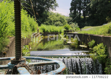 Summer waterway 117708222