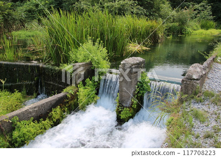 夏季水道 117708223