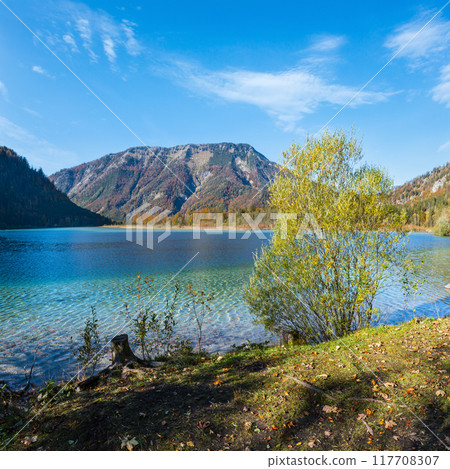 Peaceful Autumn Alps mountain lake Offensee lake, Salzkammergut, Upper Austria. 117708307