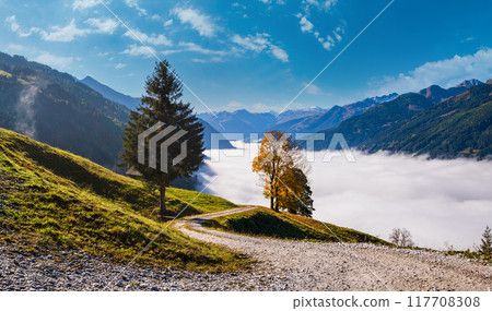 Misty autumn morning mountain and big lonely trees view from hiking path near Dorfgastein, Land Salzburg, Austria. Misty autumn morning mountain and big lonely trees view from hiking path near Dorfgastein, Land Salzburg, Austria. 117708308