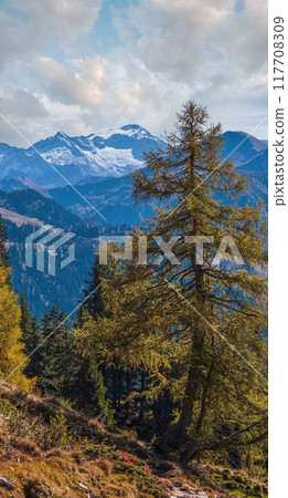 Peaceful autumn Alps mountain sunny view from hiking path from Dorfgastein to Paarseen lakes, Land Salzburg, Austria. Peaceful autumn Alps mountain sunny view from hiking path from Dorfgastein to Paarseen lakes, Land Salzburg, Austria. 117708309