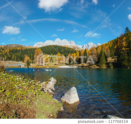 Geese flock on autumn alpine mountain pond not far from San Pellegrino Pass, Trentino, Dolomites Alps, Italy. 117708319