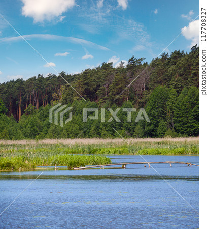 Summer valley lake landscape 117708327