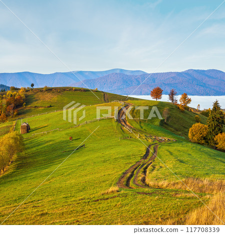 Morning foggy clouds in autumn mountain countryside. Ukraine, Carpathian Mountains, Transcarpathia. Peaceful picturesque traveling, seasonal, nature and countryside beauty concept scene. Morning foggy clouds in autumn mountain countryside. Ukraine, Carpathian Mountains, Transcarpathia. Peaceful picturesque traveling, seasonal, nature and countryside beauty concept scene. 117708339