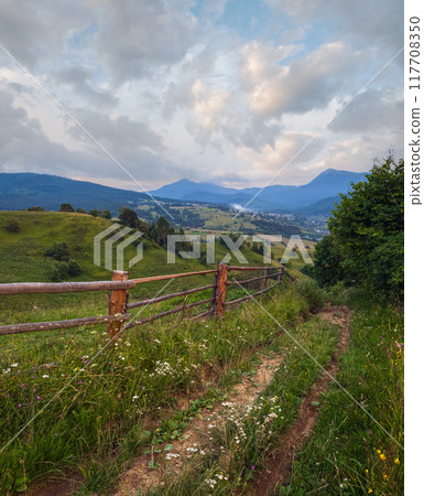 Twilight summer Carpathian mountain countryside meadows. with beautiful wild flowers 117708350