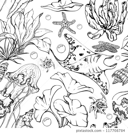 Marine life, sea ocean underwater creatures fish, shells algae seaweed, Ink and pen sketch hand drawn. Seamless pattern illustration, stylized, isolated on white. Zoo shop, aquarium, cosmetics, resort 117708784