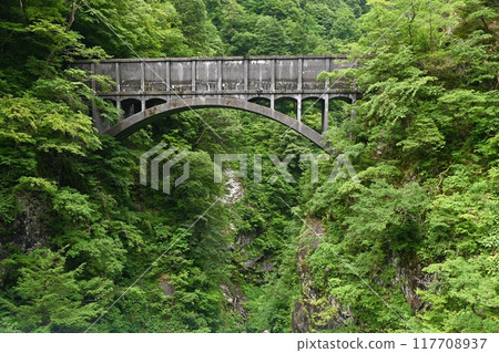 從無軌電車上看到的風景 117708937