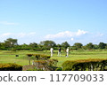 人們打盛大高爾夫球的風景 117709033