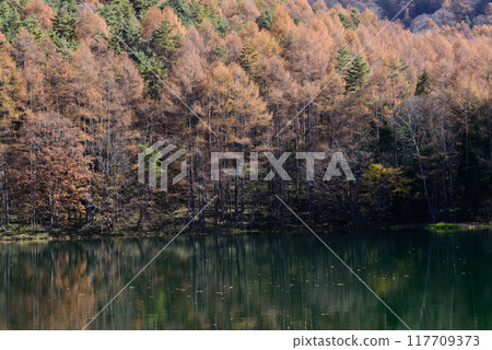 Mishaka 池塘的秋葉 Mishaka 池塘的秋葉 117709373