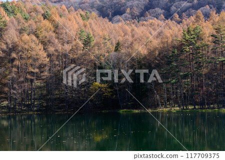 Mishaka 池塘的秋葉 Mishaka 池塘的秋葉 117709375
