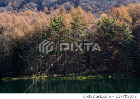 Mishaka 池塘的秋葉 Mishaka 池塘的秋葉 117709378
