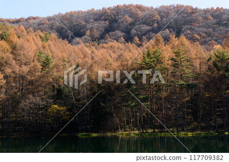 Mishaka 池塘的秋葉 Mishaka 池塘的秋葉 117709382