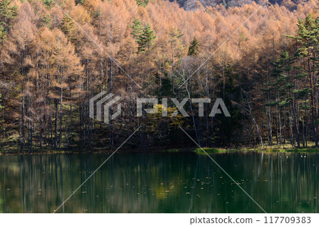 Mishaka 池塘的秋葉 Mishaka 池塘的秋葉 117709383