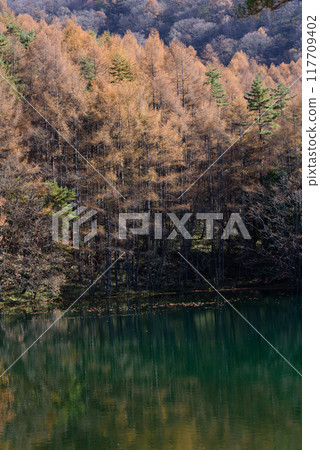 Autumn foliage at Mishaka Pond 117709402