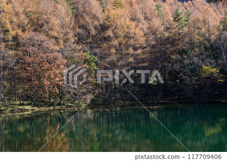 Mishaka 池塘的秋葉 117709406