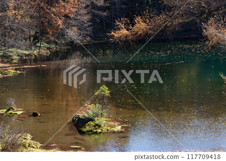 Mishaka 池塘的秋葉 117709418