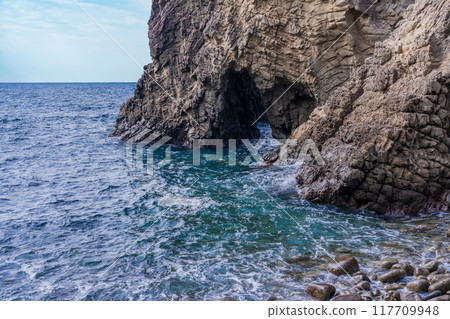 【靜岡縣西伊豆町】有有趣的柱狀節理岩的浮島海岸 117709948