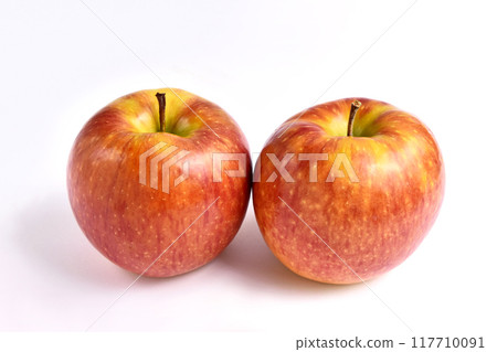 Apple (Shinano Lip) Apple (Shinano Lip) 117710091