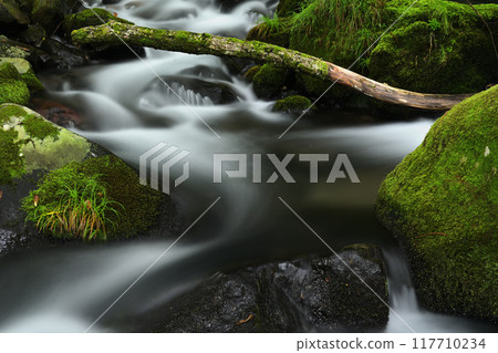 Mossy rocks and clear stream Mossy rocks and clear stream 117710234