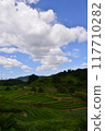 Rice terraces 117710282