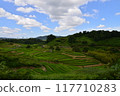 Rice terraces 117710283