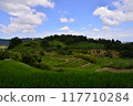 Rice terraces 117710284