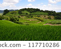 Rice terraces 117710286
