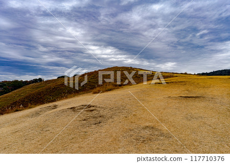 從若草山看到的秋景 117710376