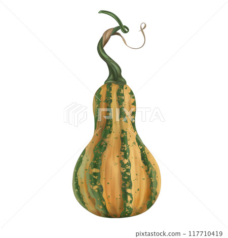 Oval yellow-green pumpkin with a stalk, autumn harvest. Fresh farm vegetables, healthy food, vegetarianism. Garden plants, agriculture. Isolated digital handmade illustration. A graphic design element Oval yellow-green pumpkin with a stalk, autumn harvest. Fresh farm vegetables, healthy food, vegetarianism. Garden plants, agriculture. Isolated digital handmade illustration. A graphic design element 117710419