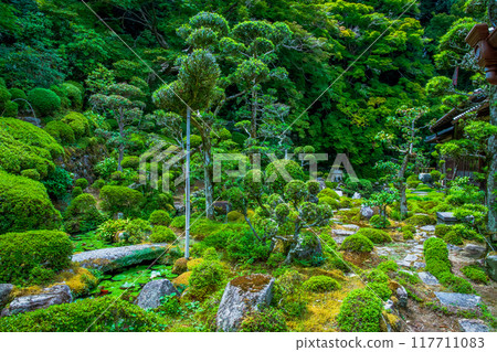 Nara Prefecture, Taima-dera Temple, Seinan-in Garden 117711083
