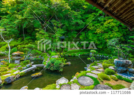 奈良縣、太摩寺、青南院 117711086