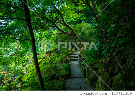 奈良縣、太摩寺、青南院 117711109