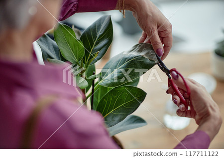 Top view closeup of unrecognizable senior woman caring for green plants at home and clipping dry leaves, copy space Top view closeup of unrecognizable senior woman caring for green plants at home and clipping dry leaves, copy space 117711122