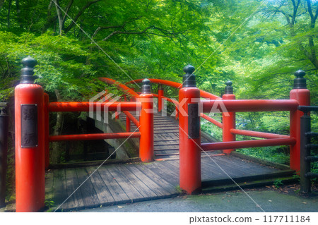 Ikaho Onsen in summer, the scenery of Kajika Bridge surrounded by greenery 117711184