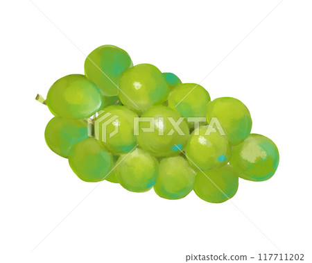 水彩風格葡萄 117711202