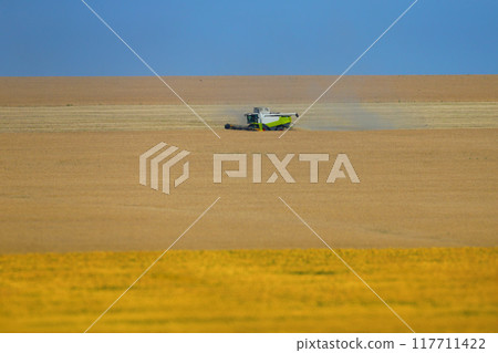 Harvesting Harvesting 117711422