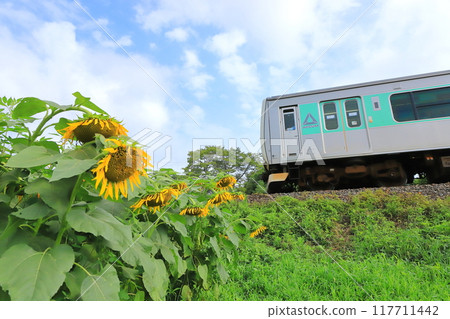 Karasuyama Line "Himawari and Accum" It's almost the end of summer Karasuyama Line "Himawari and Accum" It's almost the end of summer 117711442