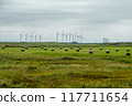 風力發電與草卷景觀 117711654