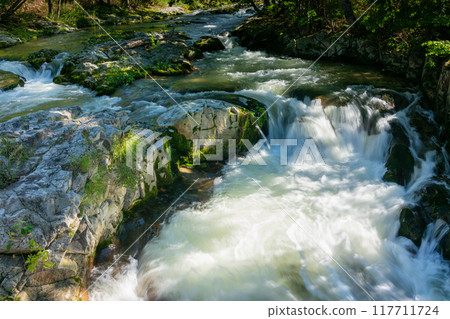 Mossy rocks and clear stream 117711724