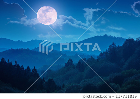 A fantastical landscape of the full moonlight shining into a silent forest and the blue night sky 117711819