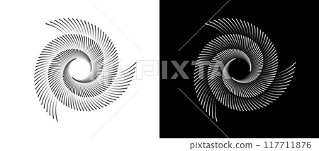 Abstract background with lines in circle. Art design spiral as logo or icon. A black figure on a white background and an equally white figure on the black side. 117711876