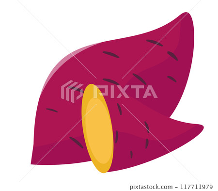Sweet potato illustration. Vector illustration 117711979