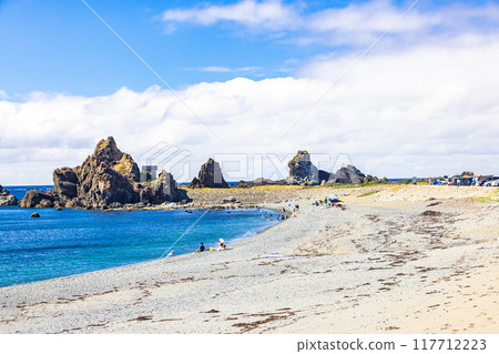 【新潟縣佐渡島小田】八月的日本海與向日葵田 117712223