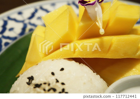 Mango and sticky rice dessert Mango and sticky rice dessert 117712441