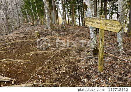 Tanzawa: The summit of Mount Torinomune, one of the 100 famous mountains of Yamanashi 117712530